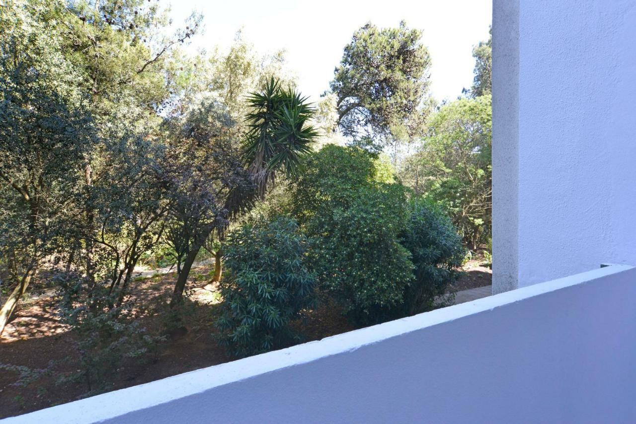 Tropical View Cascais - Checkinhome 外观 照片
